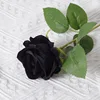 Black - A