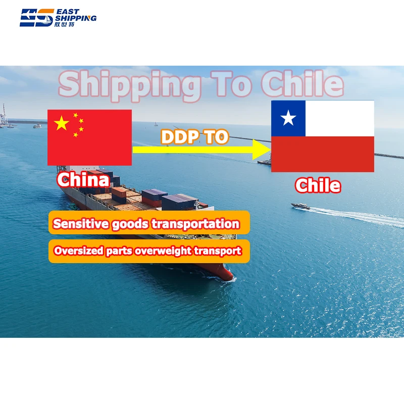 Shipping Agent Chile Powder To Usa Suriname Forwarding Company In China Shipping Agent Freight DDP Forwarder