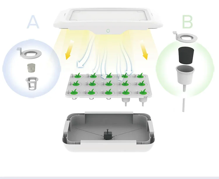 desktop grow light--2