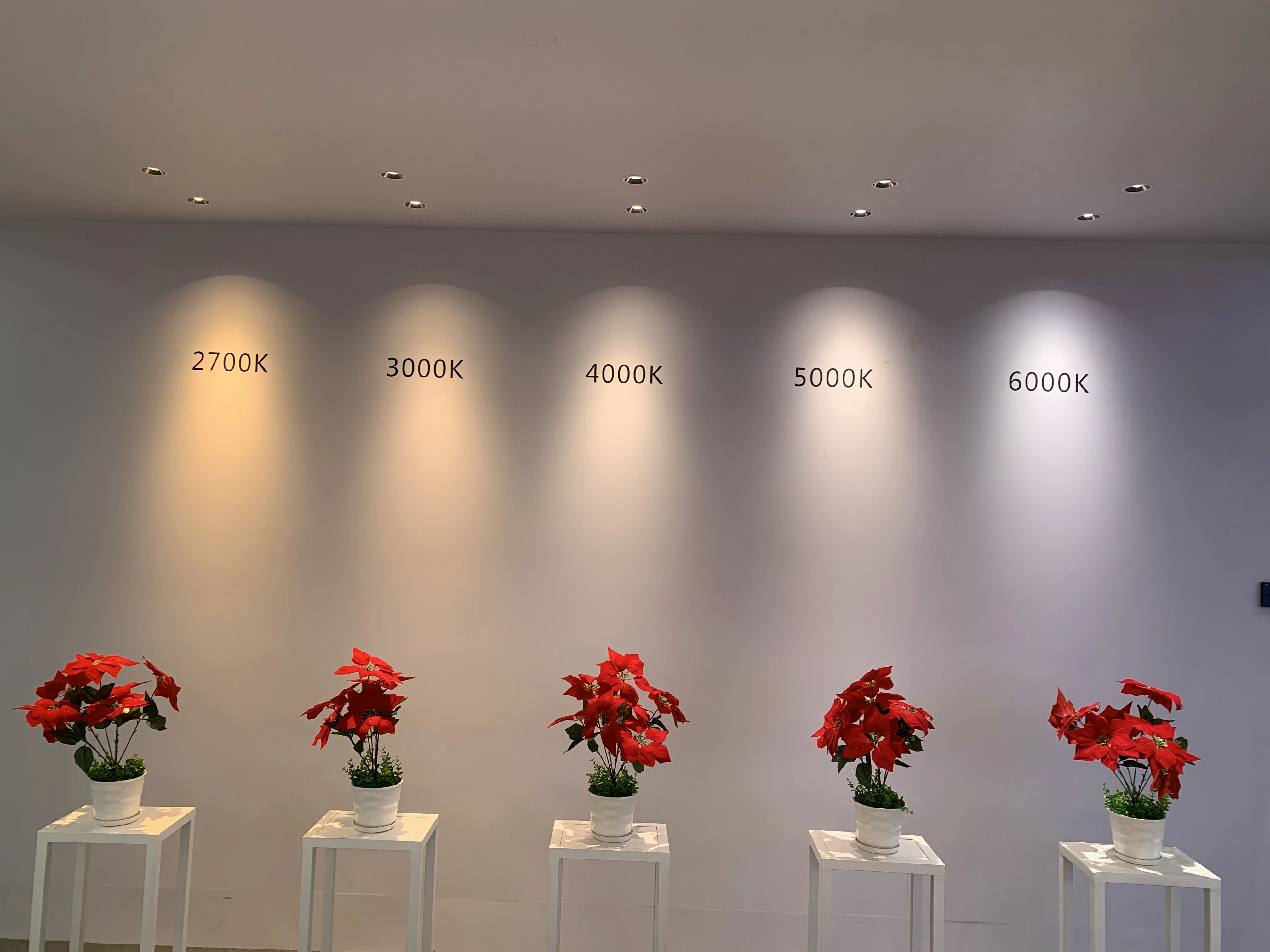 Supermarket Fresh Food Pink Meat Lighting Cob Led Track Light With 30w