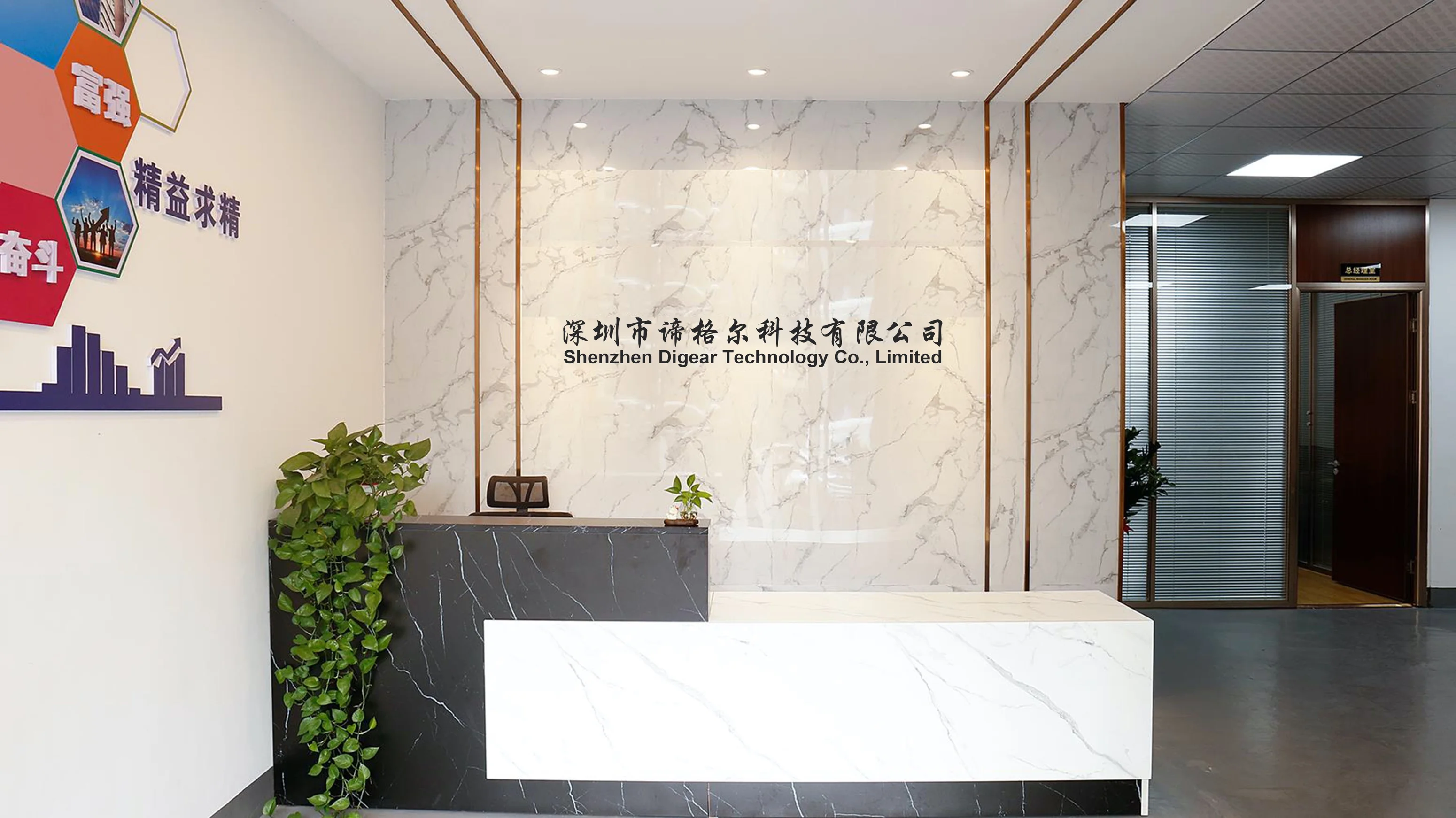 Shenzhen Digear Technology Co., Limited 1
