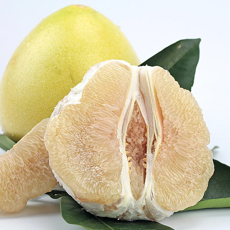 sale new crop low price natural chinese shaddock honey pomelo