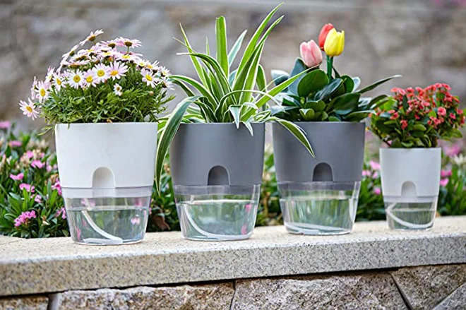 plant plastic containers Round Snap-Lock Containers