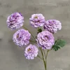 Morado claro