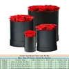 Classic Rose In Round Box