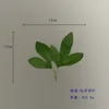 Two-leaf peony