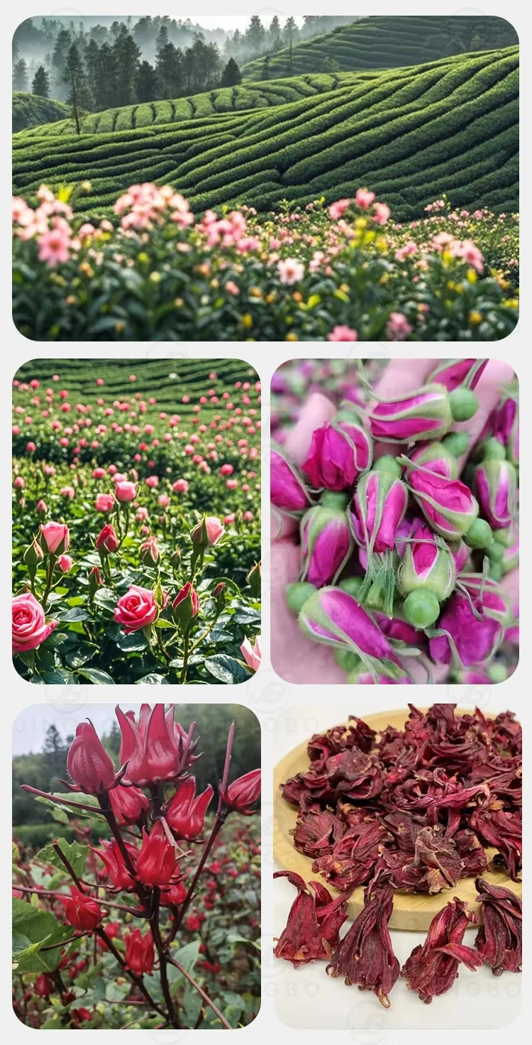 Dried Rose - Bulk Wholesale from China Factory Hd1eb527789744ce3b98b615961f91121d