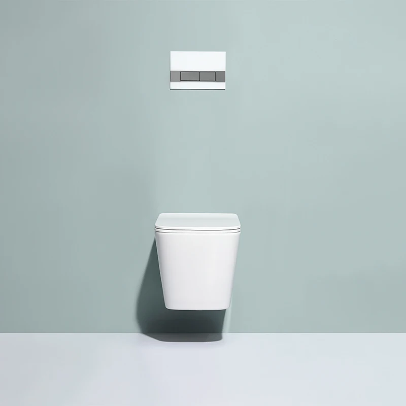 	Energy-saving ceramic wall-hung toilet