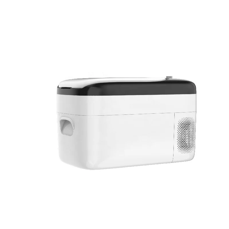 Портативный мини-холодильник 12 В, автомобильный холодильник, холодильник для автомобиля