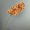 Naranja oscuro