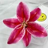 full rose red14
