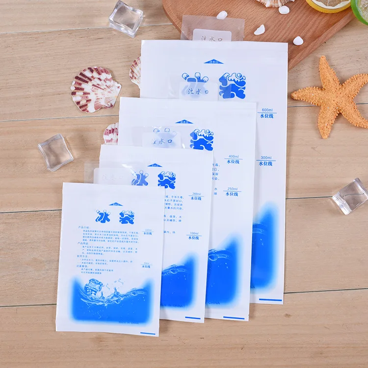 Factory Directly Wholesale Food Grade Dry Ice Packs Cooler Bag Ice Boxes Reusable For Cold Fresh