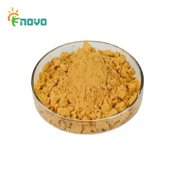 Natural Plant Extract Ginkgo Biloba Leaf Extract Pure Ginkgo Biloba Powder with USP Grade