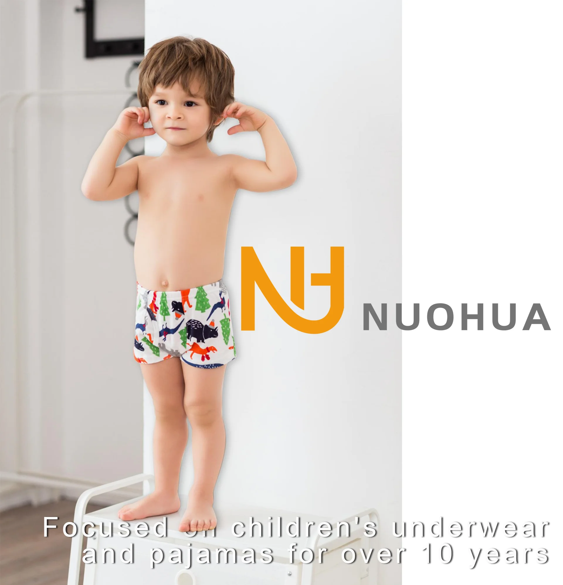 Wholesale/ODM/OEM Cute Boys Kids Underwear Cotton Little Children Briefs