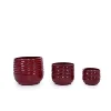 Bean Paste Red