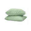 Menthe