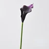 Deep Purple