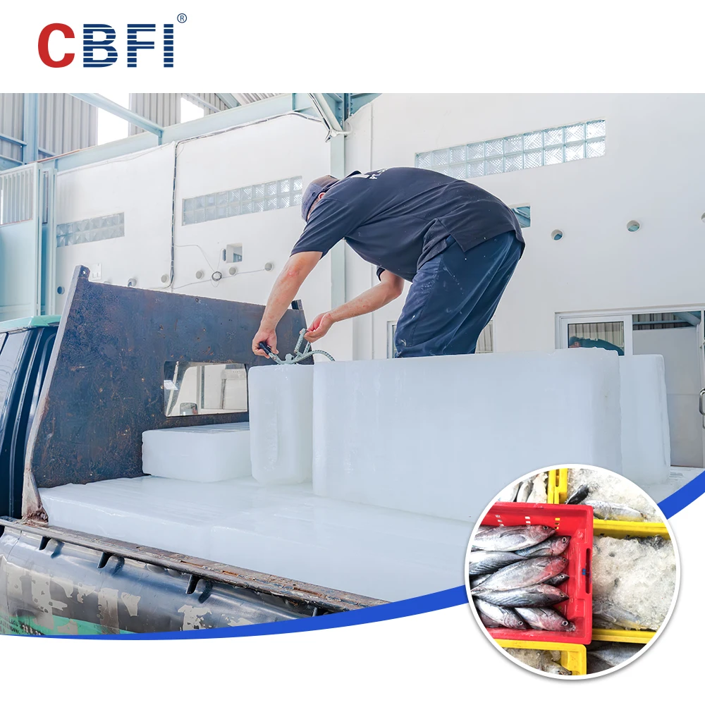 Ice Factory Block Ice Machine With 1000pieces Block Ice Per Day