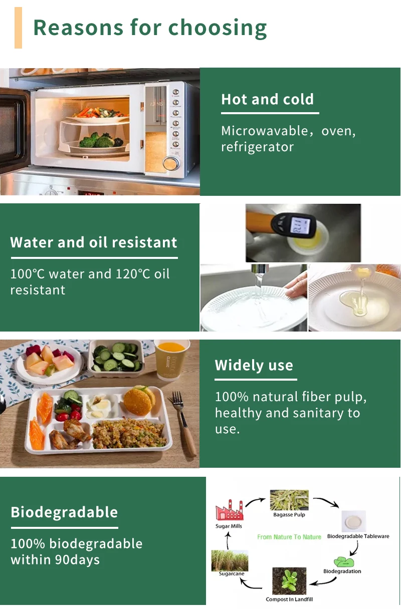 Custom 6x6 Inch Take Away Lunch Packing Fast Food Container Biodegradable Clamshell Bagasse Hamburger Sugarcane Burger