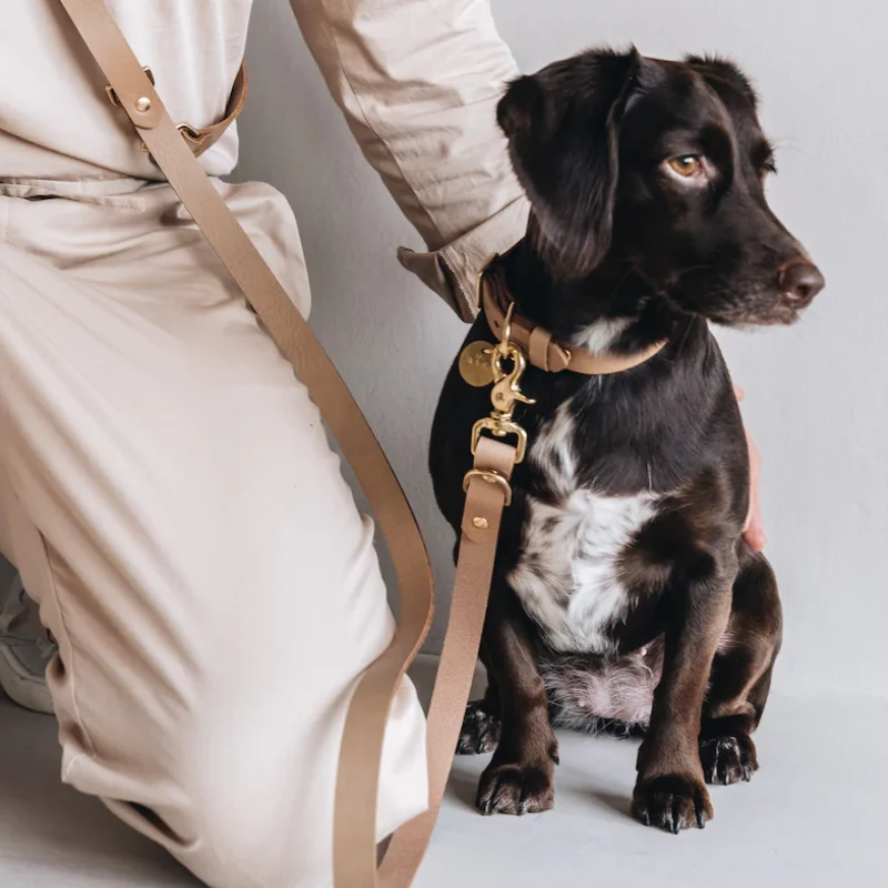 Adjustable Dog Custom Dog Leashes Adjustable Dog Leather Leash