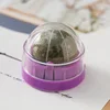 Bola de hierba gatera morada