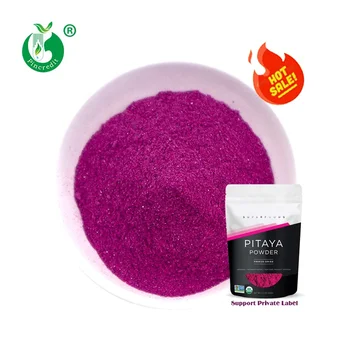 Freeze Dried Lyophilization Red Dragon Fruit Powder Bulk Pink Pitaya Powder