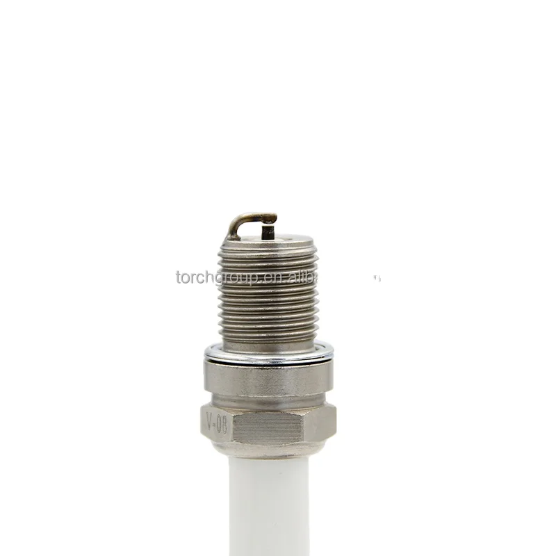 Generator Spark Plug 7307 7308 18GZ5-77-2 for TCG2016, TCG2020 Spark Plug