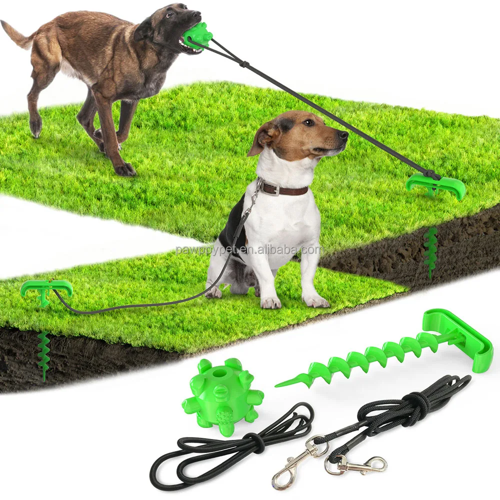 outdoor dog leash anchor