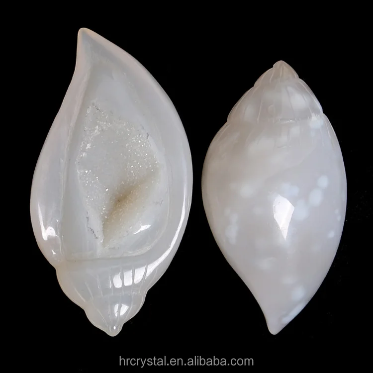 Healing Crystal Conch Shell Druzy Agate Geode Crystal Conch Shell Carving for Decoration