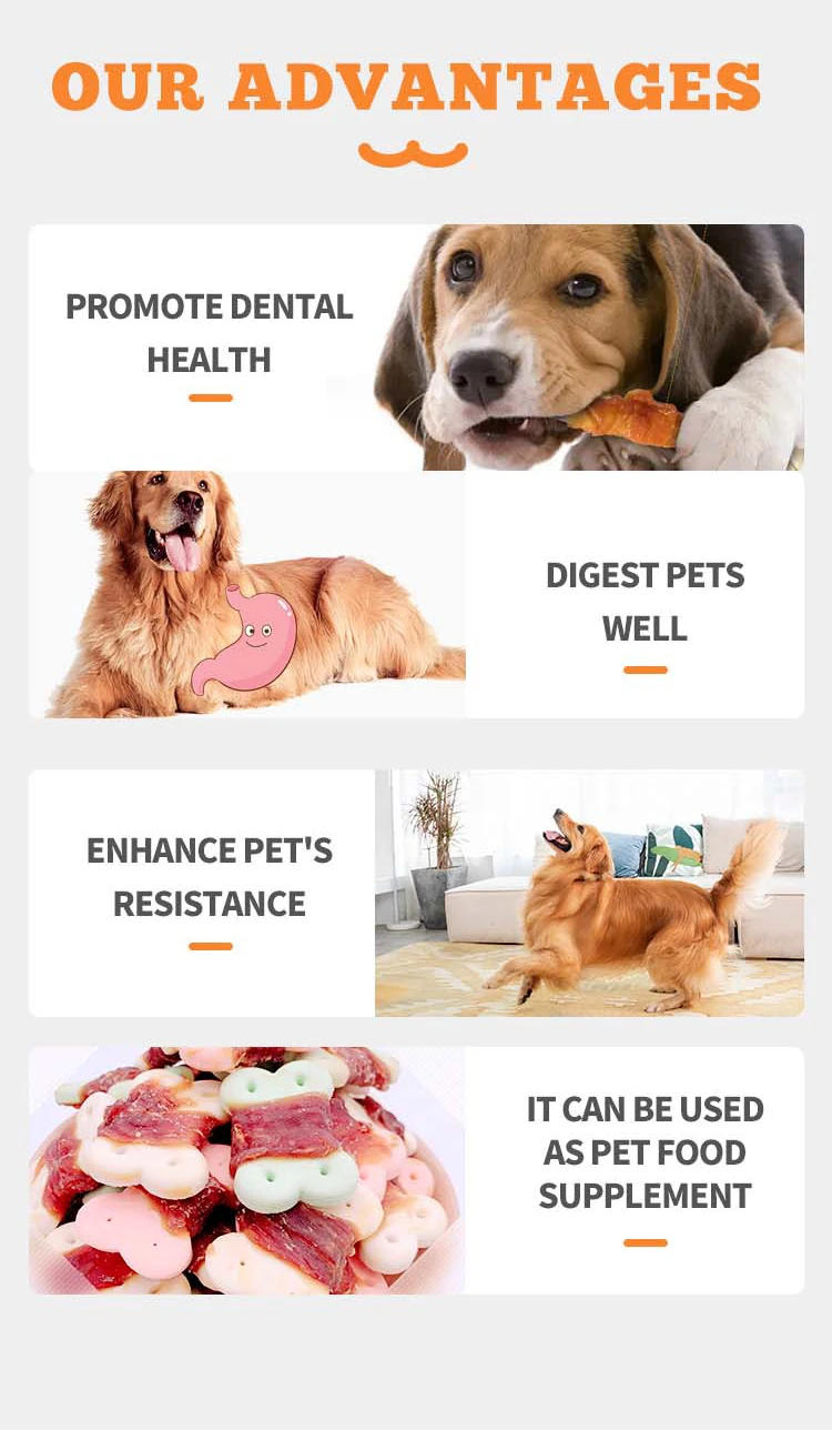 Dog Food Suppliers Wholesale High Protein Molar Nutrition 200g Duck Pet