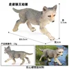 colorato HZJM405 Walking Wolf King Cub