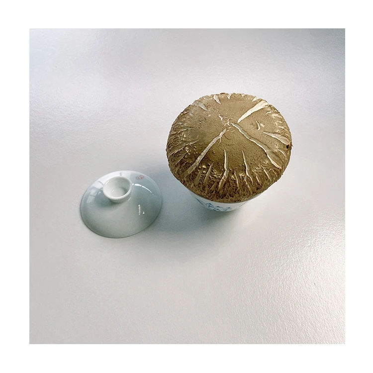 Лидер продаж, Круглый зонтичный органический Гриб Шиитаке