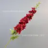 นกนางแอ่นบินเก่ง - สีแดง