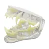 B026C-1 Transparent Dog Teeth