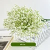 babysbreath-white