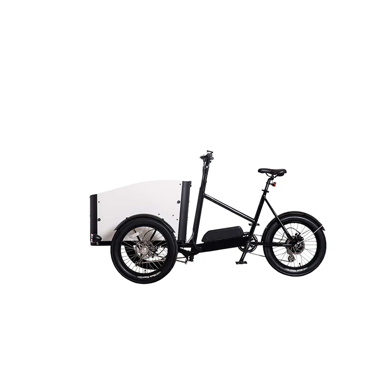 250w/500w Electric Assist Cargo Bike 