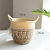 Rice white fringe mouth 16cm