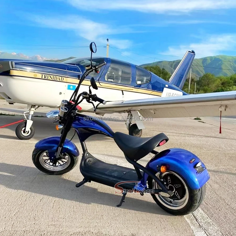 2025 New Design Citycoco Electric Scooter for Adult Use Citycoco ...