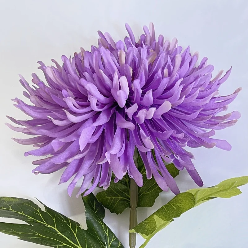 Tinsow 12 Fiori Artificiali Di Crisantemo Verde: Palla Decorative Per Casa E Natale (Verde Nerastro, 28cm)