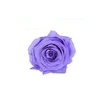 Light Violet