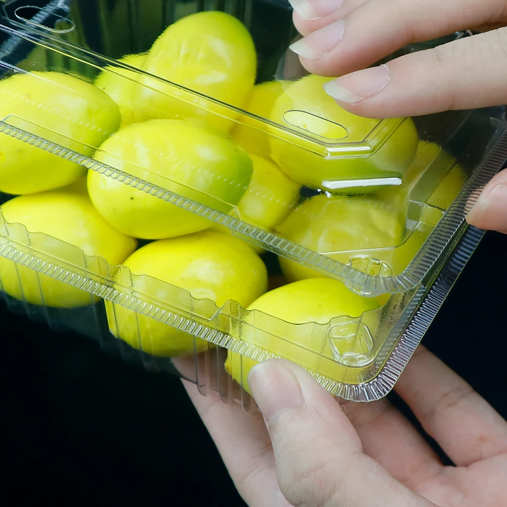 Disposable Clear Fruit Clamshell Packaging Box Plastic Rpet/pet Fruit