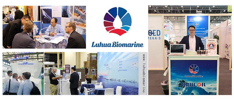 Exhibitions