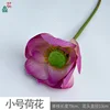 Petit Lotus HH Violet