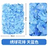 Hydrangea row, sky blue