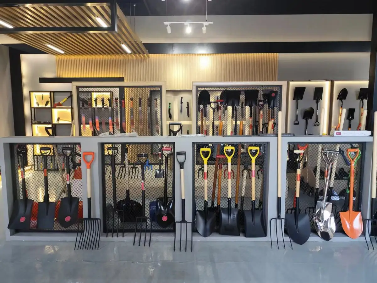 Hebei Tianyou International Trade Co., Ltd.