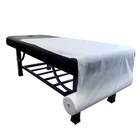 Disposable Bed Sheet Supplier Disposable Spunbond Non Woven Bed Sheet Roll Massage Table Smooth Paper Roll