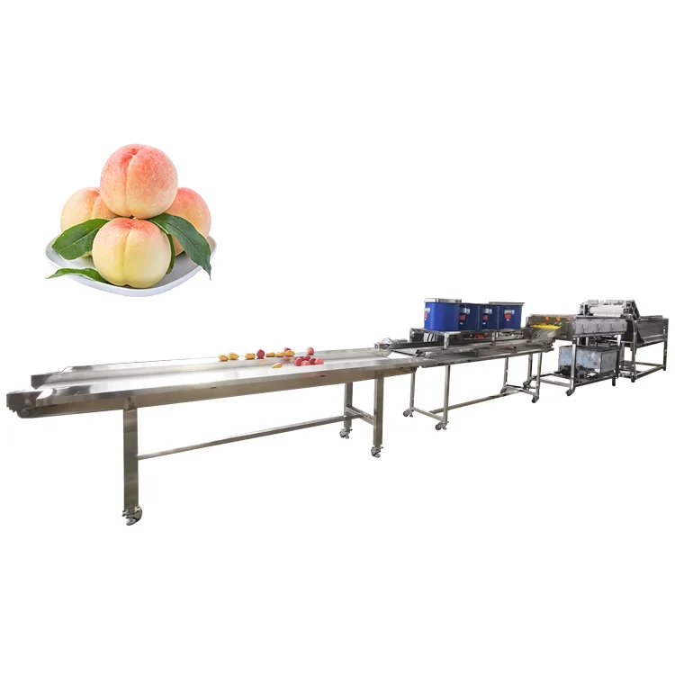 Fruits Export Company Jamun Washing and Dry Processing Line