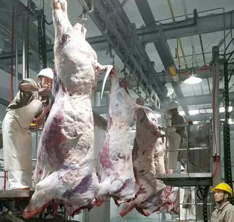 Butchers Meat Hanging Rails for Slaughterhouse