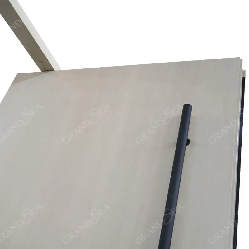 2024 Latest Design Aluminum Design Entry Front Pivot Doors Modern Security Exterior Aluminum Pivot Doors for Houses