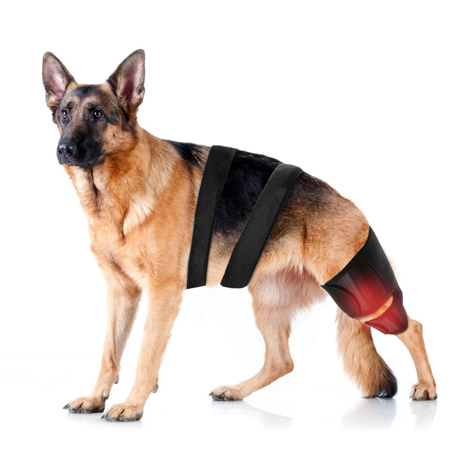 Custom Dog Knee Brace Leg Wounds Care Harness Helps Dogs With Lameness
